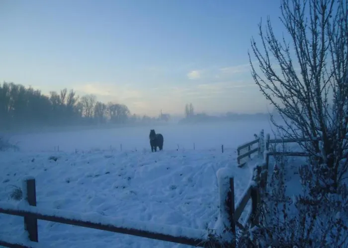 Holiday home Spijk Vakantiehuis Spijk (Gelderland)